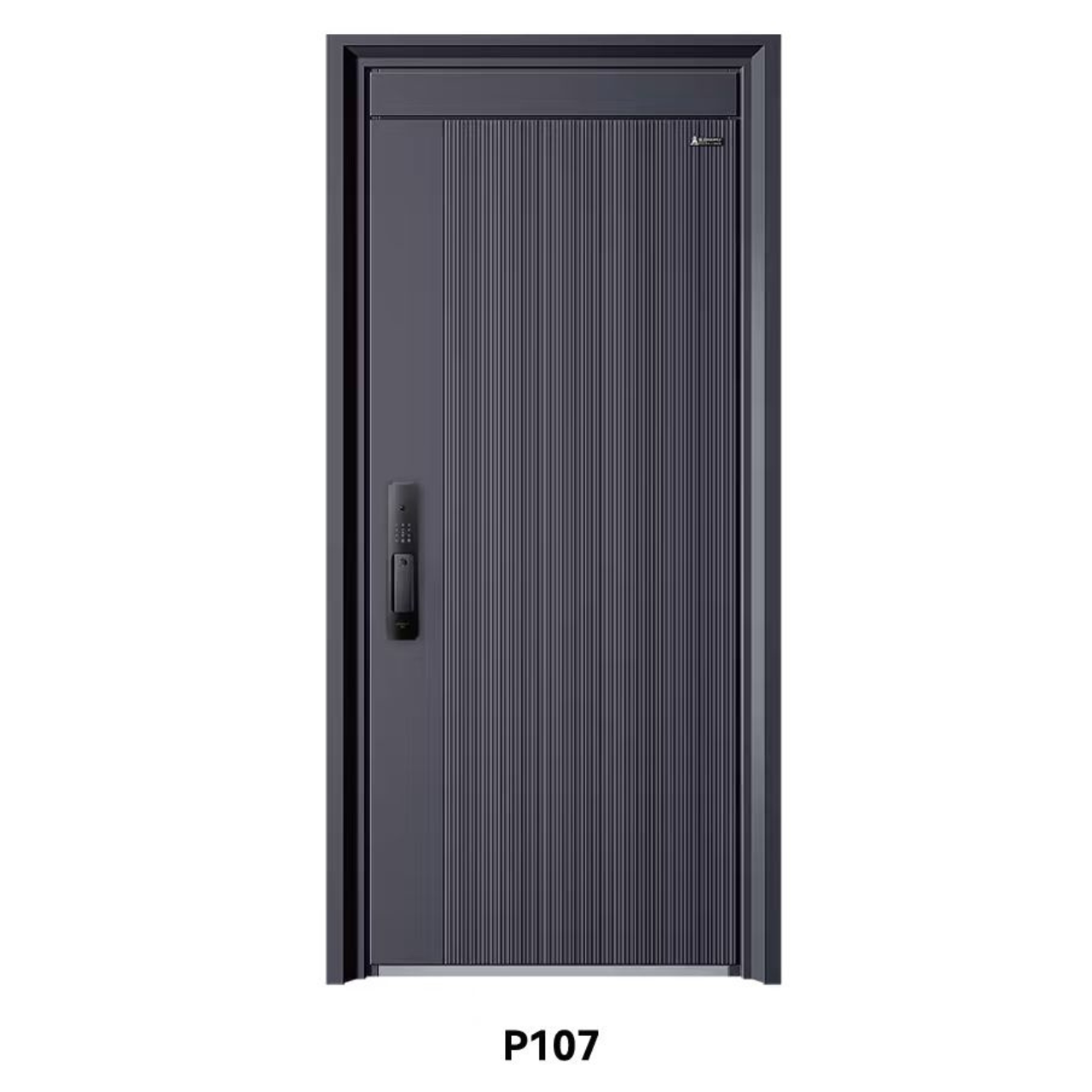 Puerta de acero reforzado P107