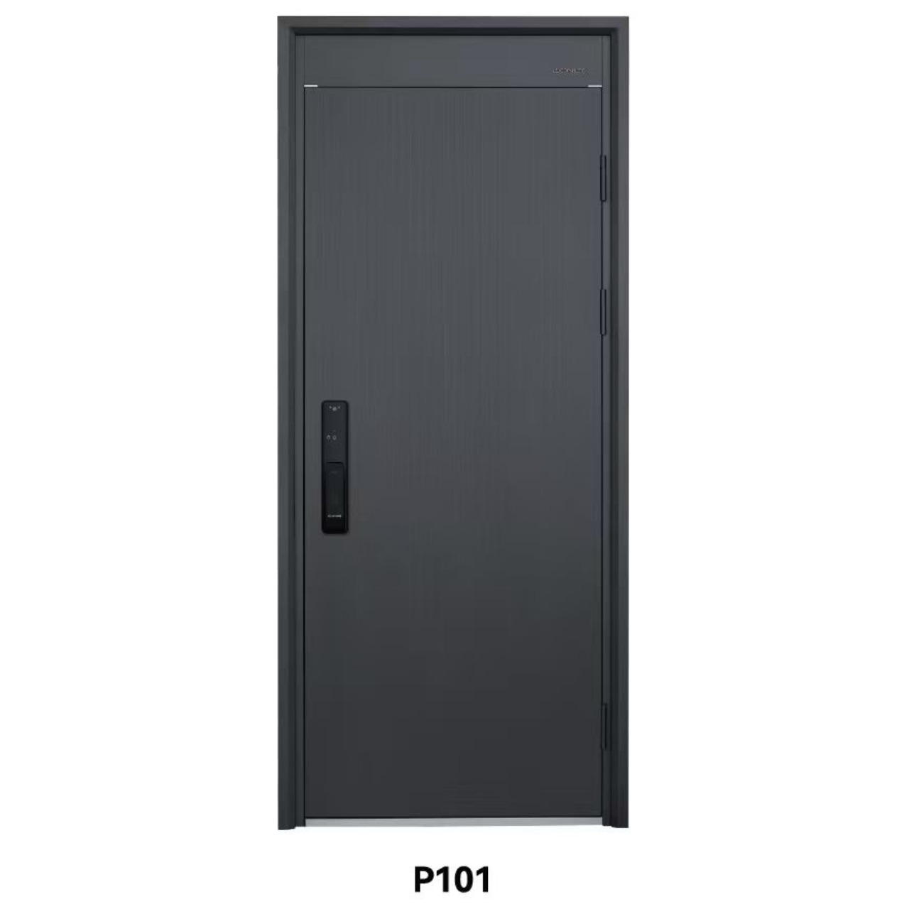 Puerta de acero reforzado P101
